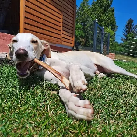 Hof Eckens - Ferienhaushaus Marie In Bosserode * Wildeck