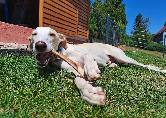 Hof Eckens - Ferienhaushaus Marie In Bosserode * Wildeck