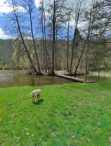 Дом отдыха Hof Eckens - Ferienhaushaus Marie In Bosserode *