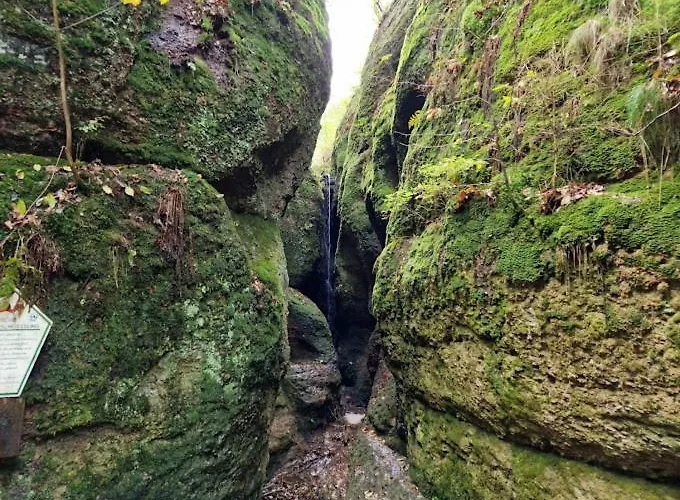 Hof Eckens - Ferienhaushaus Marie In Bosserode Дом отдыха Wildeck